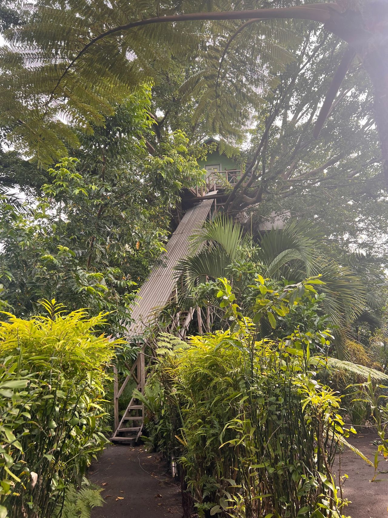 The Best Places to Stay in Tanna – Treetops and Manioc Pancakes 🥞 🏡