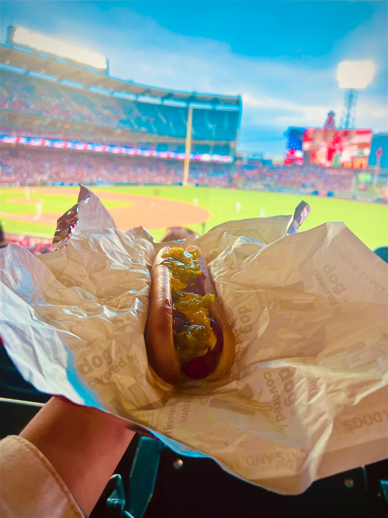 Gluten free hot dog at a ball game